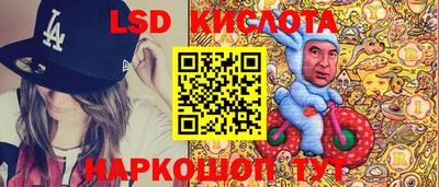 крисы Новодвинск