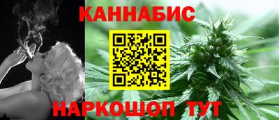 крисы Новодвинск
