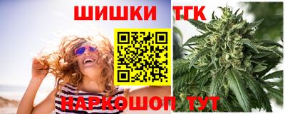 крисы Новодвинск